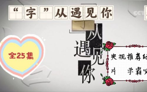 《“字”从遇见你》央视纪录片 25集全第1张-惠学吧 Image 160