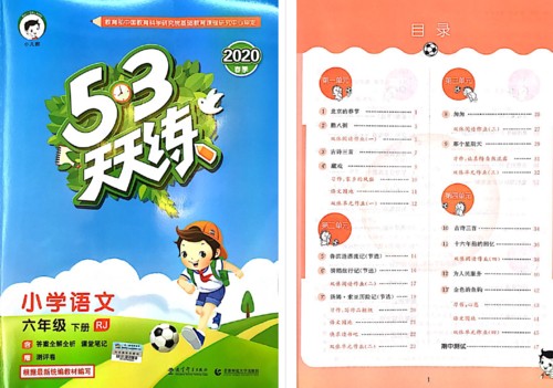 【53天天练】语文六年级下册人教版(试题卷+答案+课堂笔记+测评卷)第1张-惠学吧 Image 261