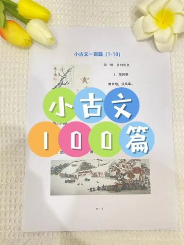 海狸老师-小古文精选精读100篇视频课程第1张